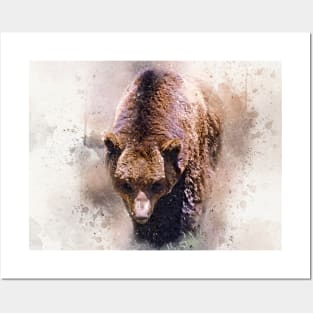 Bear Forest Wilderness Animal Jungle Wild Life Savage Nature Posters and Art